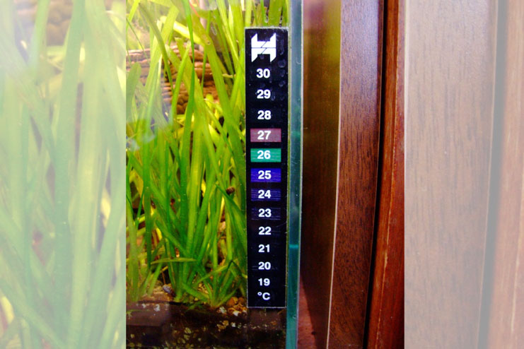 A thermometer