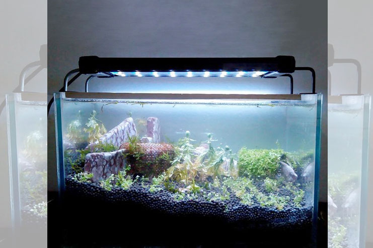 Tank Lid With Light