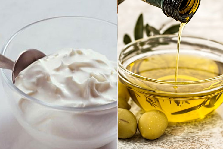 Yogurt And Olive Oil Hair Pack