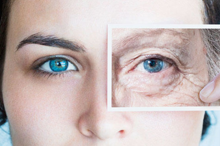 Anti-Aging Properties