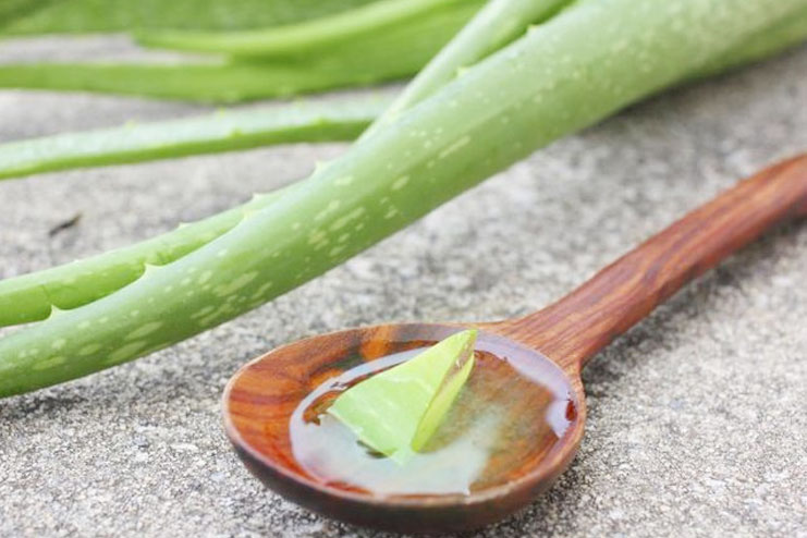 Aloe Vera Gel