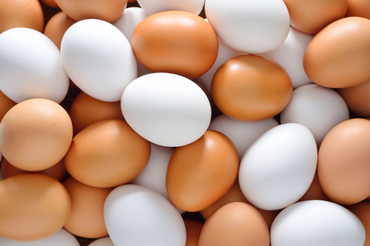 Eggs Are Incredibly Nutritious