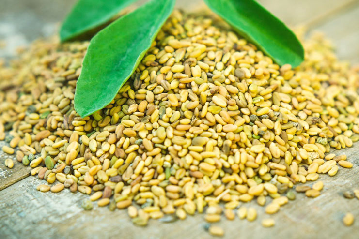 Fenugreek Seeds