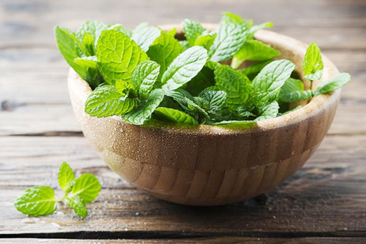 Peppermint Leaves