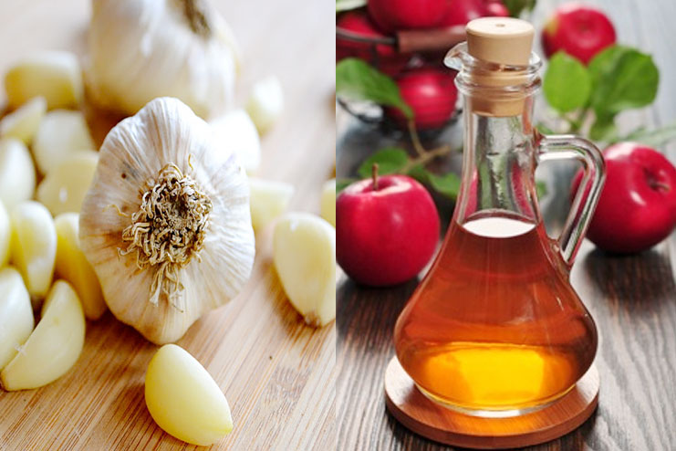 Garlic With Vinegar