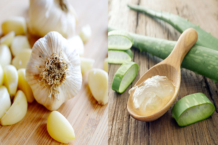 Garlic And Aloe Vera