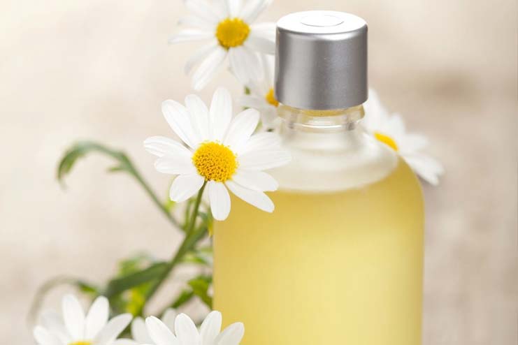 Chamomile Essential Oil