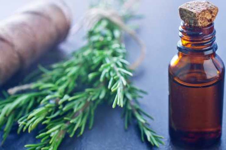 Benefits Of Rosemary Essential Oils