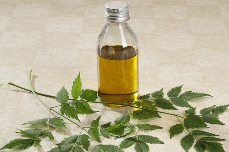 Neem Oil