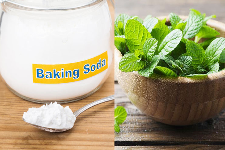 Baking Soda with Peppermint Leaves