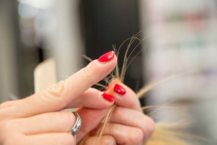 Repairs Split Ends