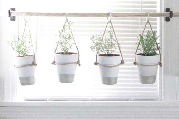 Hanging planter herbs