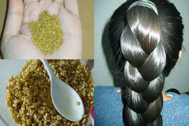 Fenugreek seeds to treat dry hair
