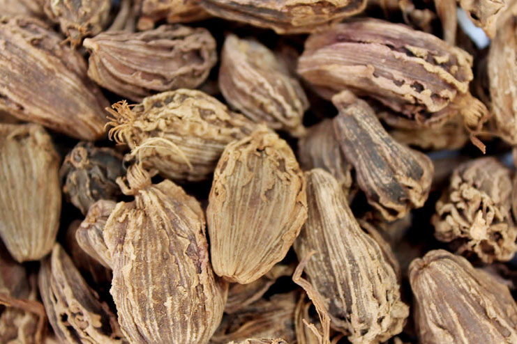 Black Cardamom