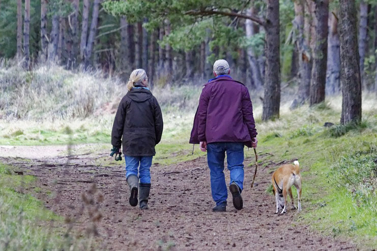 Pets boost your health