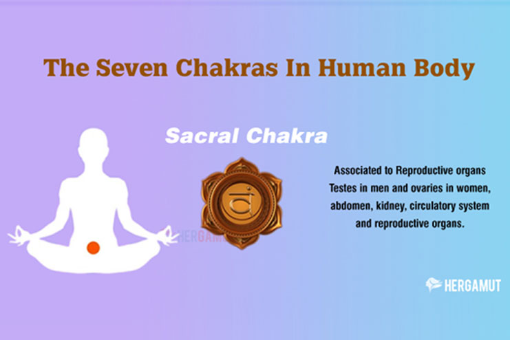 The Sacral Chakra