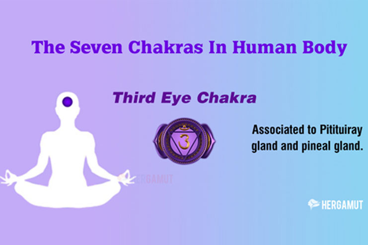 The Third Eye Chakra