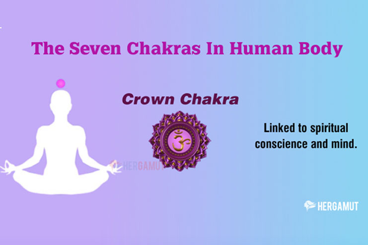 Sahasrara / Crown Chakra