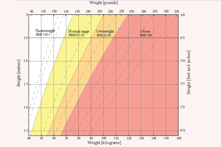 Body Mass Index