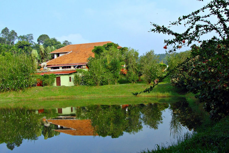 Farm Houses