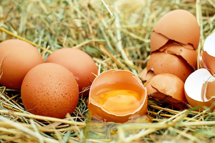 Egg mask for split ends