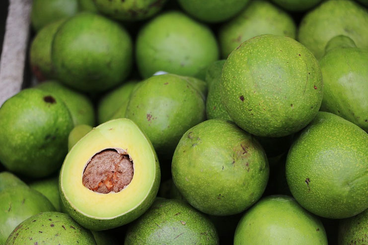 Avocado mask