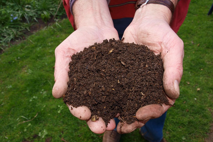 Concentrate On Good Soil And Compost
