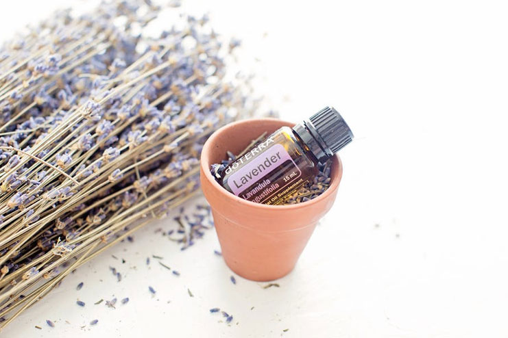 Lavender Oil