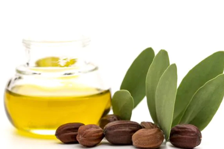 Jojoba oil