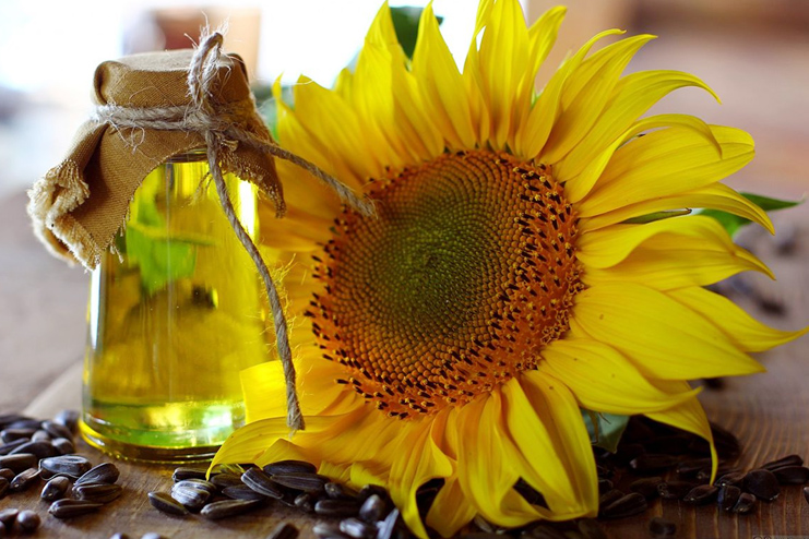 Sunflower oil