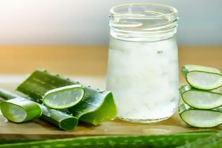 Aloe vera for winter rash