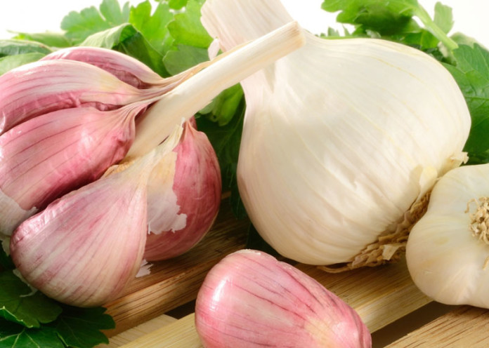 Garlic