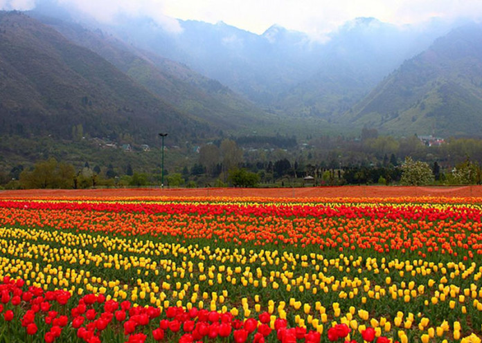 Srinagar, Jammu & Kashmir