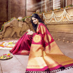 Indian Saree Guide