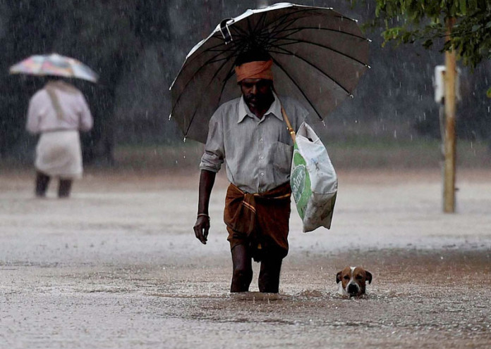 Chennai Survives