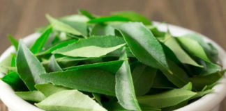 Benefits of Curry leaves