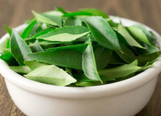Benefits of Curry leaves