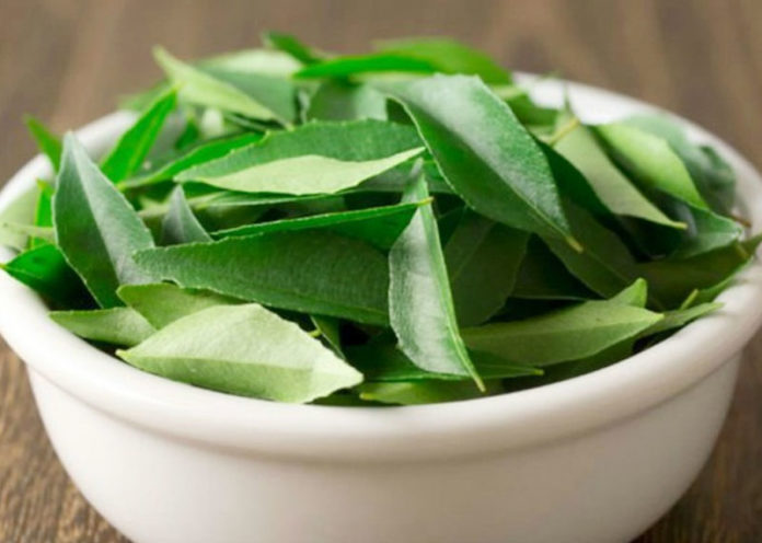 Benefits of Curry leaves