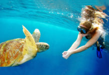 snorkel around the world