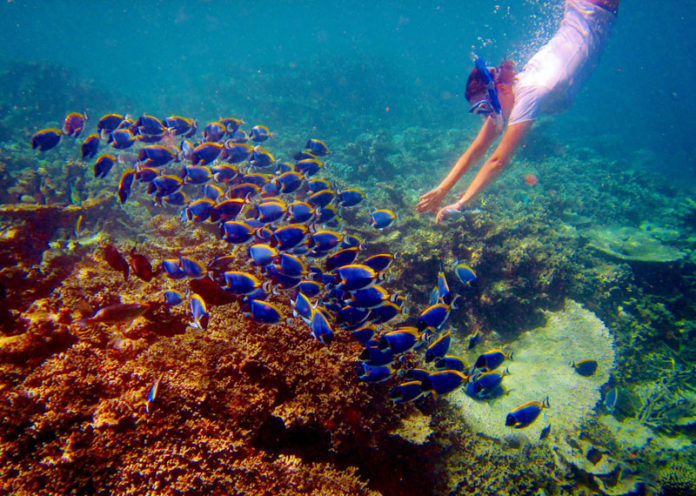 Mahebourg Bay, Mauritius