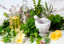 medicinal plants