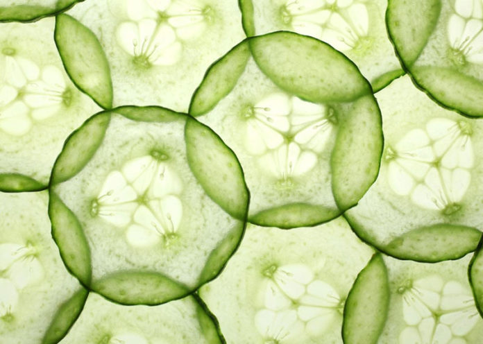 Cucumber