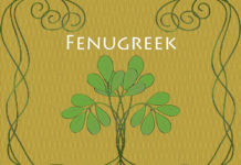 Benefits of Fenugreek