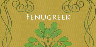 Benefits of Fenugreek