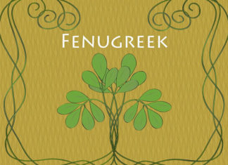 Benefits of Fenugreek