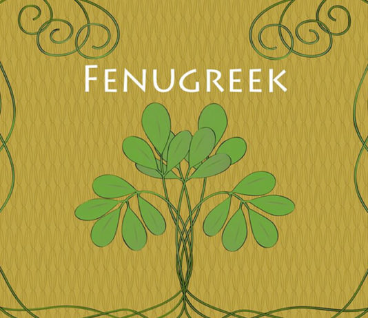 Benefits of Fenugreek