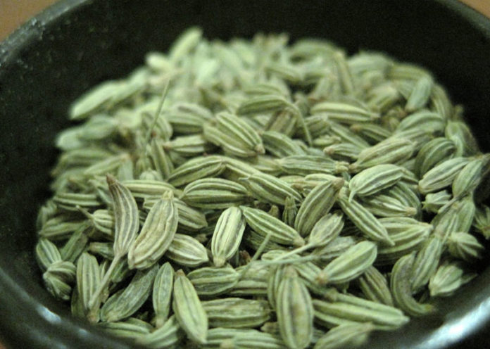 Fennel Seeds