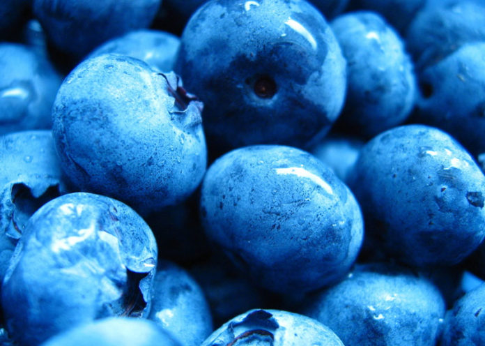 Blueberries