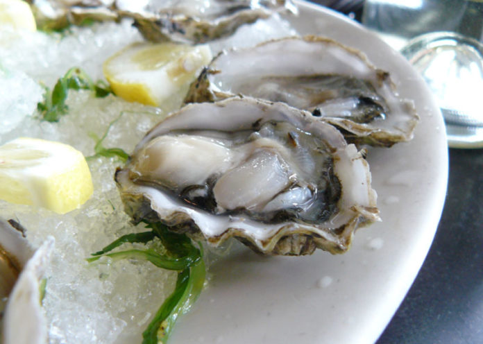 Oysters