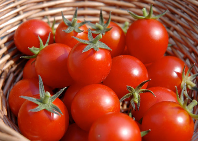 Tomatoes